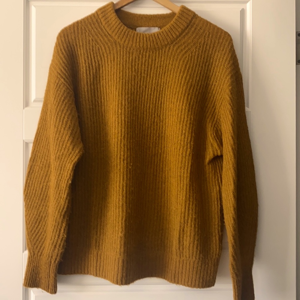 Everlane Sweater